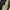 ADIDAS YEEZY BOOST 700 MNVN HONEY FLUX