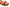 NIKE SB DUNK LOW SP X CONCEPTS ‘ORANGE LOBSTER’