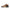 JORDAN 3 RETRO WINTERIZED ARCHAEO BROWN