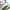 Air Jordan 4 Retro SB Pine Green